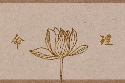 老黄历择曰|择吉皇历老黄历|2026年老黄历查询